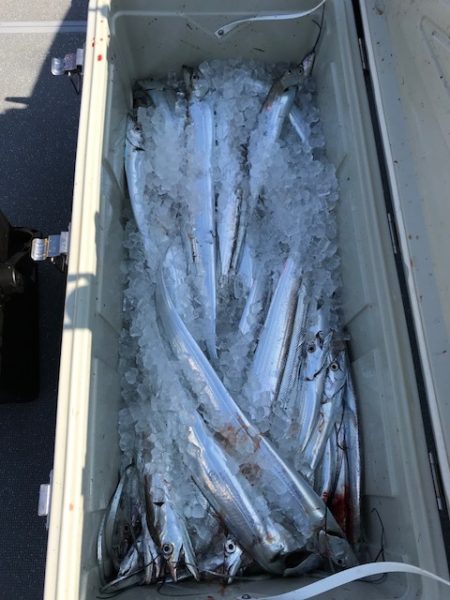 へいみつ丸 釣果