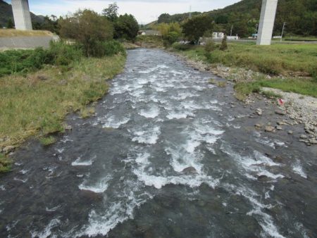 狩野川(狩野川漁業協同組合) 釣果