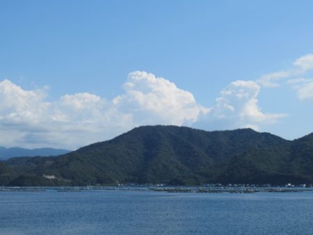 濱田渡船 釣果