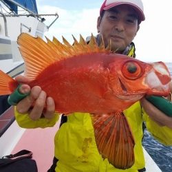 しまや丸 釣果