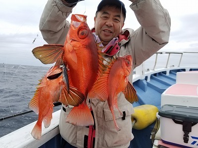 しまや丸 釣果
