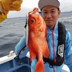 しまや丸 釣果