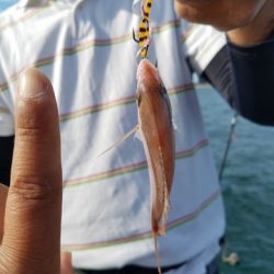 遊漁船 ニライカナイ 釣果