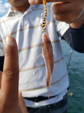 遊漁船 ニライカナイ 釣果