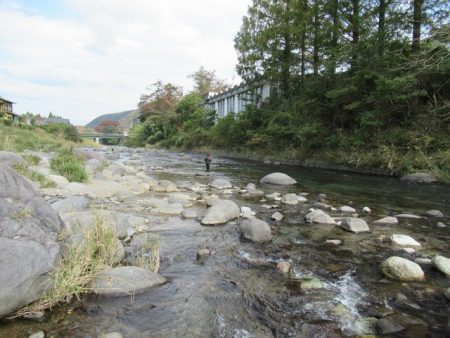 狩野川(狩野川漁業協同組合) 釣果