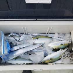 遊漁船　ニライカナイ 釣果