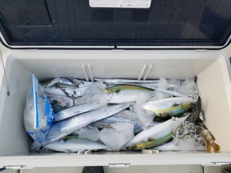 遊漁船　ニライカナイ 釣果