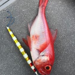 へいみつ丸 釣果