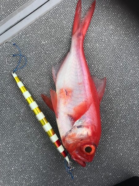 へいみつ丸 釣果