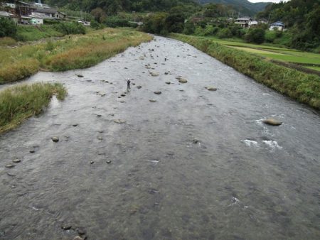 狩野川(狩野川漁業協同組合) 釣果