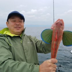 遊漁船 ニライカナイ 釣果