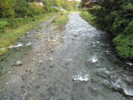 狩野川(狩野川漁業協同組合) 釣果