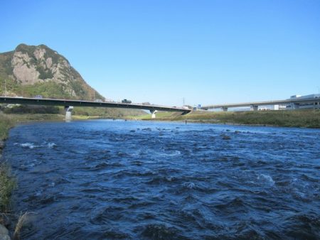 狩野川(狩野川漁業協同組合) 釣果