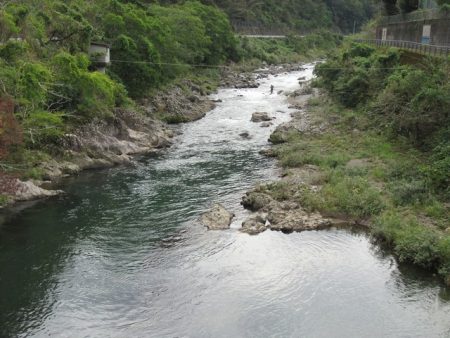 狩野川(狩野川漁業協同組合) 釣果
