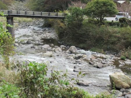 狩野川(狩野川漁業協同組合) 釣果