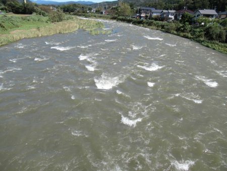 狩野川(狩野川漁業協同組合) 釣果