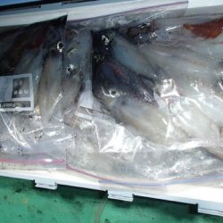 第二むつ漁丸 釣果