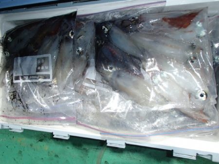 第二むつ漁丸 釣果