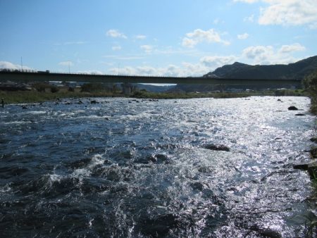 狩野川（狩野川漁業協同組合） 釣果