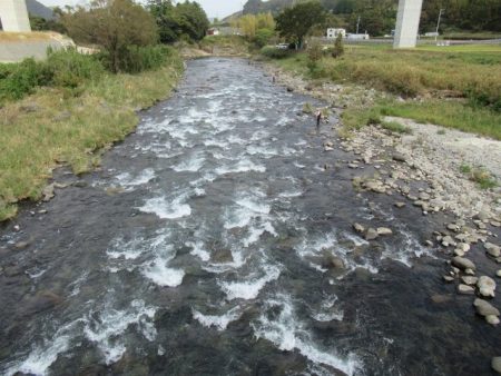 狩野川(狩野川漁業協同組合) 釣果