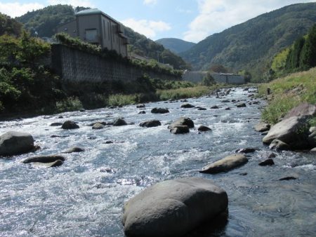 狩野川(狩野川漁業協同組合) 釣果