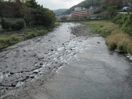 狩野川(狩野川漁業協同組合) 釣果