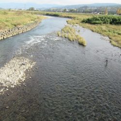 狩野川(狩野川漁業協同組合) 釣果