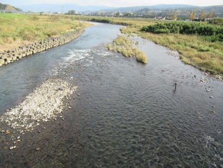 狩野川(狩野川漁業協同組合) 釣果