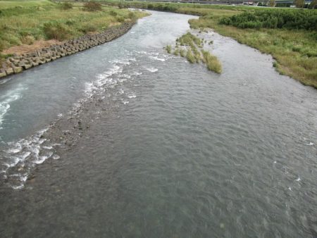 狩野川(狩野川漁業協同組合) 釣果