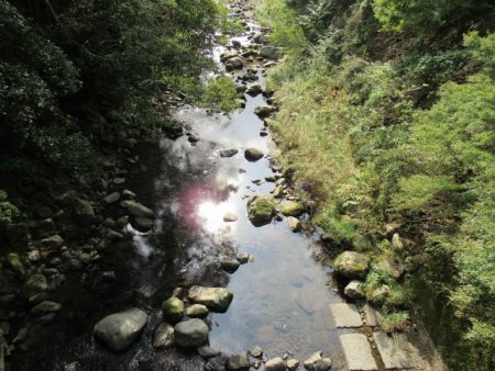 狩野川(狩野川漁業協同組合) 釣果