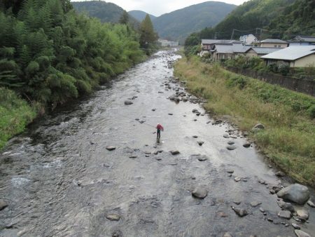 狩野川(狩野川漁業協同組合) 釣果
