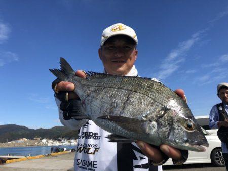 由良渡船 釣果