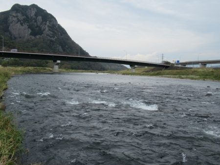 狩野川(狩野川漁業協同組合) 釣果