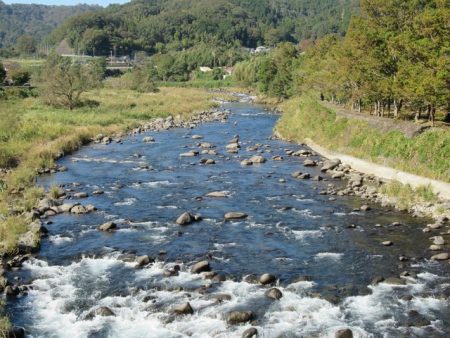 狩野川(狩野川漁業協同組合) 釣果