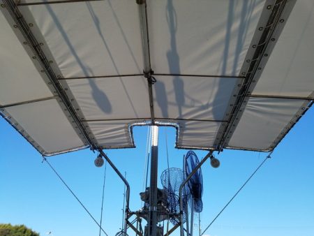 遊漁船 ニライカナイ 釣果