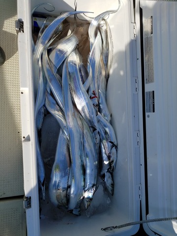 遊漁船　ニライカナイ 釣果