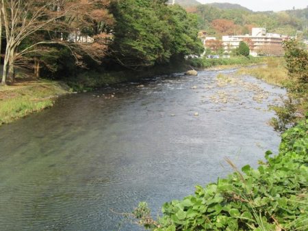 狩野川(狩野川漁業協同組合) 釣果