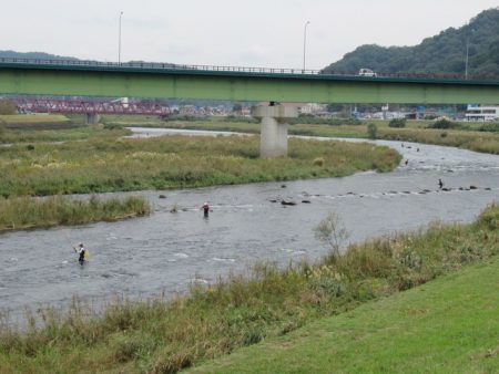 狩野川(狩野川漁業協同組合) 釣果