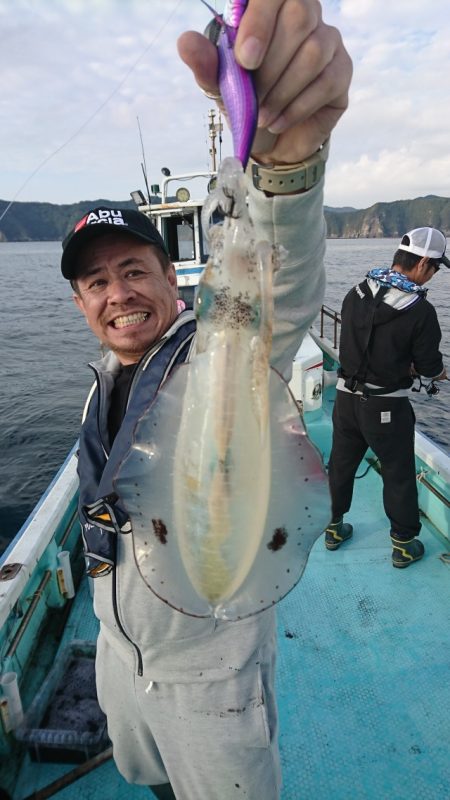 シードリーム 釣果