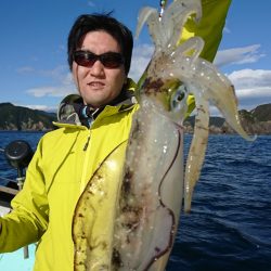 シードリーム 釣果