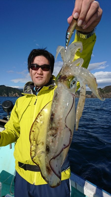 シードリーム 釣果