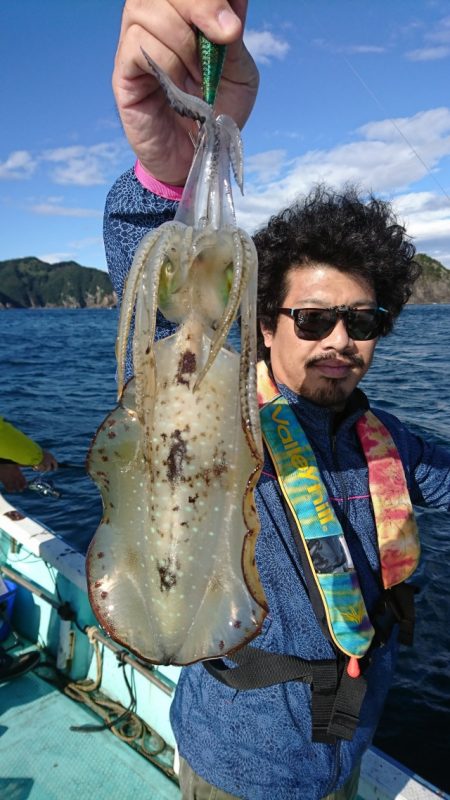 シードリーム 釣果