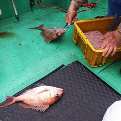 第三むつりょう丸 釣果