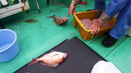 第三むつりょう丸 釣果