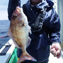 第三むつりょう丸 釣果