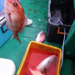 第三むつりょう丸 釣果