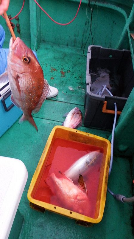 第三むつりょう丸 釣果