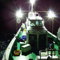 第三むつりょう丸 釣果