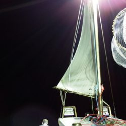 第三むつりょう丸 釣果