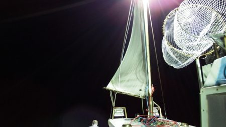 第三むつりょう丸 釣果